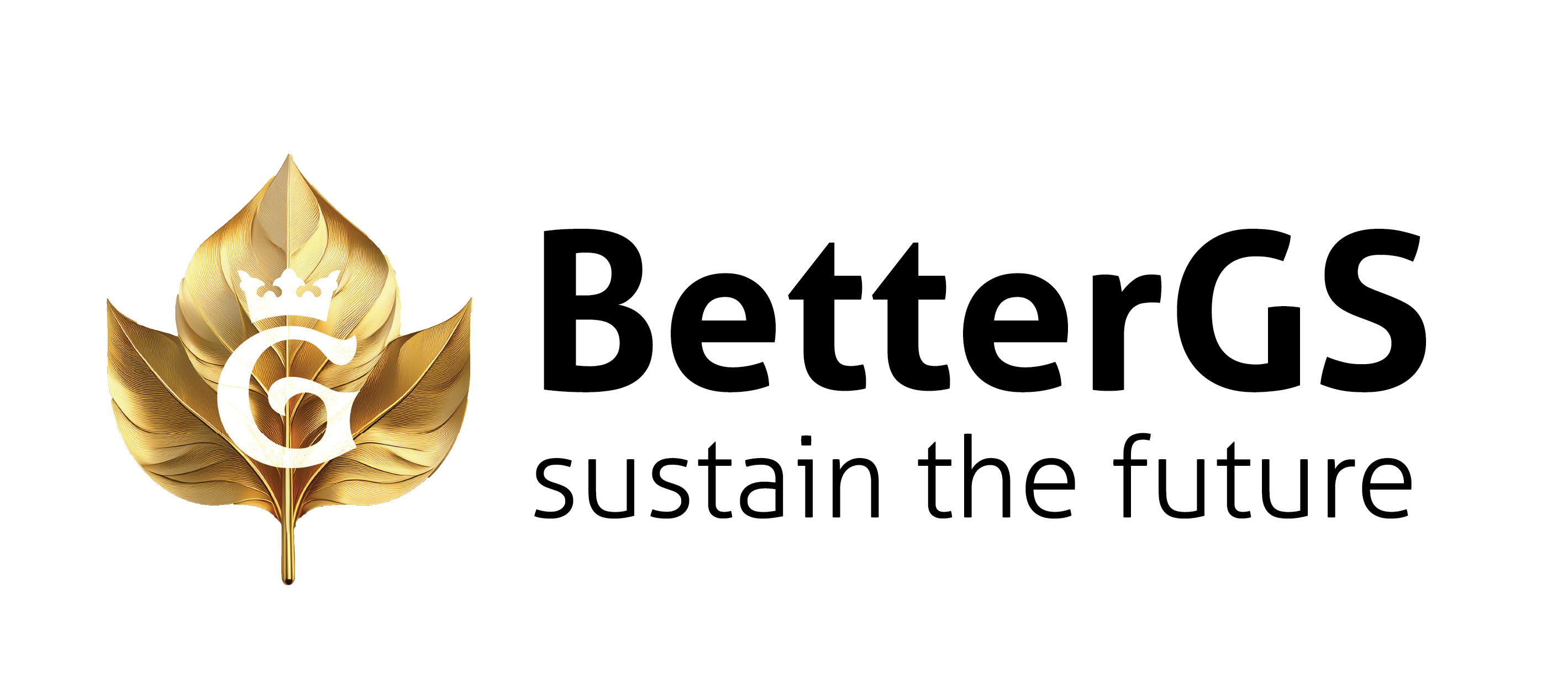Prototype: BetterGS